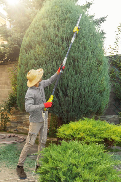 Best Tree and Shrub Care  in Armonk, NY